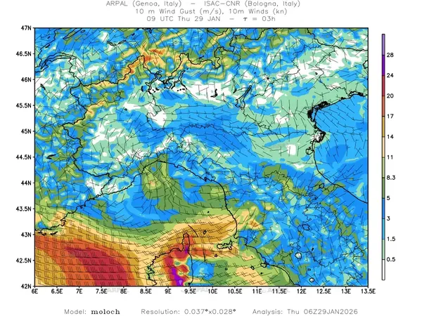 thumb_moloch_zoom_2026012906_03_fg10%shd_wind10%barb2.webp