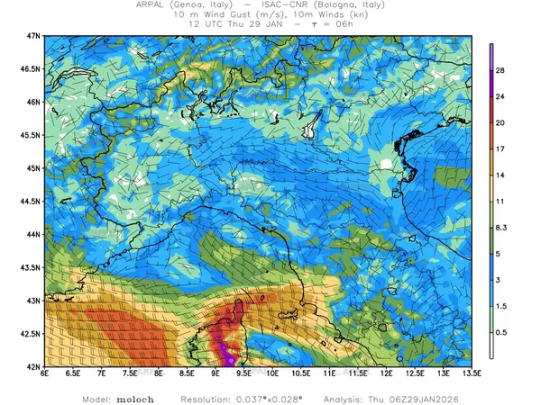 thumb_moloch_zoom_2026012906_06_fg10%shd_wind10%barb2.webp